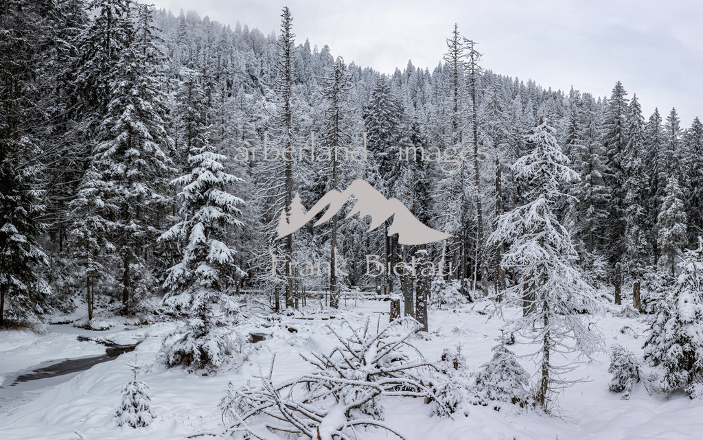 OE7A8958-Pano | der Winter hat die Landschaft um den Großen Arbersee fest im Griff