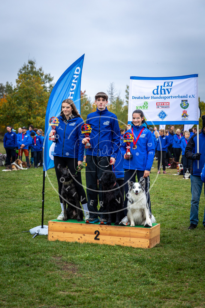 Pfotenfotografie_0L8A0690 | Hundefotografie, Tierfotograf, Pfotenfotografie, Fotoshooting Hund, Hunde Portrait, Hundesport, Hundeportraits, Heideshooting, Hunde, Sportfotograf, Hundefotograf, Turnierhundsport, THS,  - Realisiert mit Pictrs.com