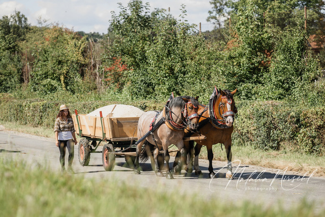 7V6A2450 | natalia-nirschl-photography