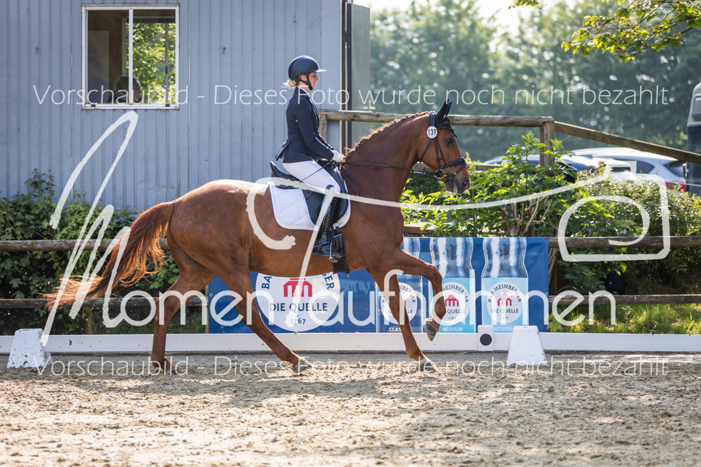 Donop24-A2-Dre-037 | MomenTaufnahmen Pferdesportfotos