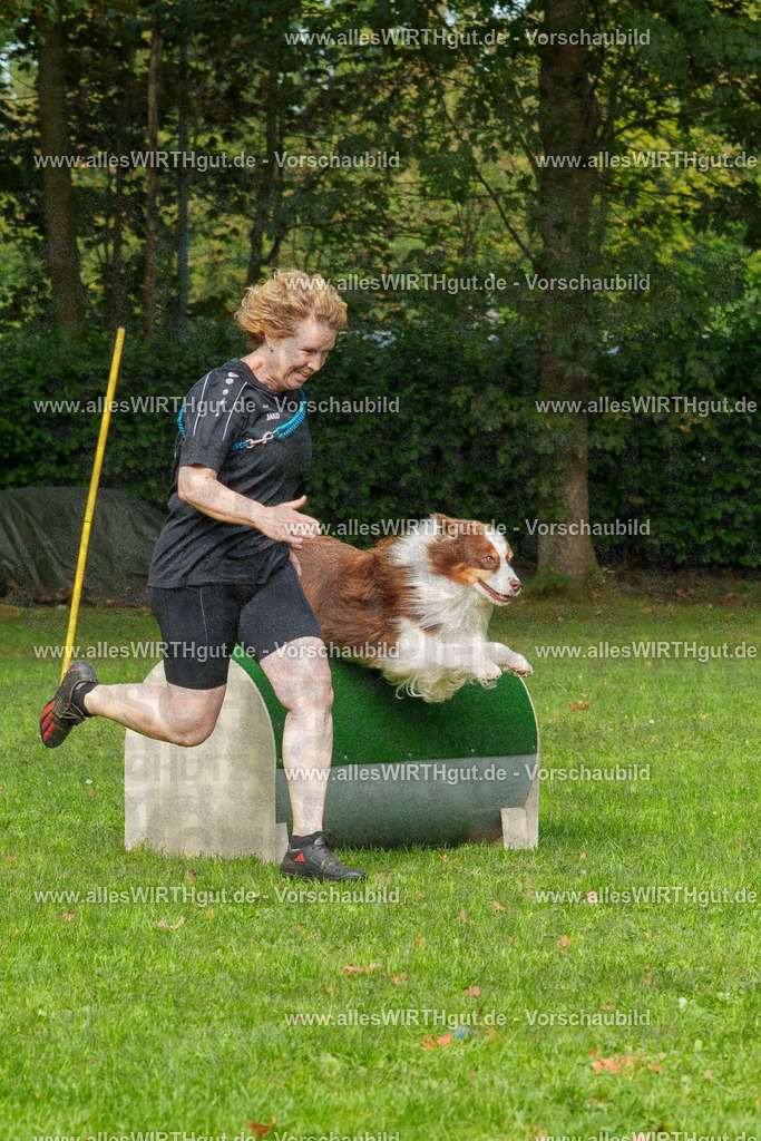 THS_Turnier_27-09-2026-allesWIRTHgut_Tierfotografie-7R507261 | Professionelle Tierfotografie in Mönchengladbach von Daniel Wirth (allesWIRTHgut). Liebevolle & natürliche Bilder von Hunden & Katzen für unvergessliche Erinnerungen.