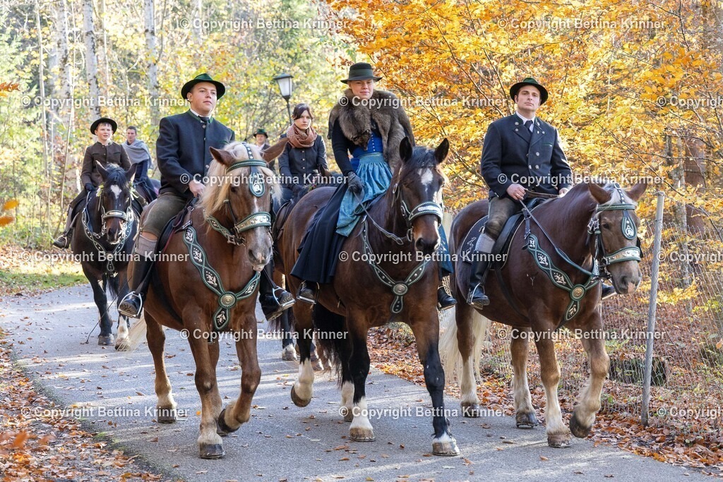 LL24-332 | foto-bettina-krinner - Realisiert mit Pictrs.com