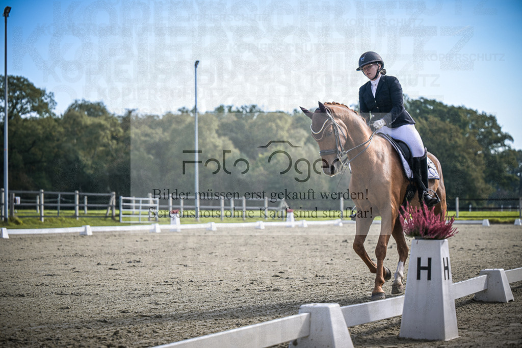 DOS_1239 | Entdecke hochwertige Reitturnierfotos von Foto Oger. Professionell, emotional und authentisch – jetzt Lieblingsmomente im Shop bestellen.Deutschlandweite Turnierfotografie. - Realisiert mit Pictrs.com