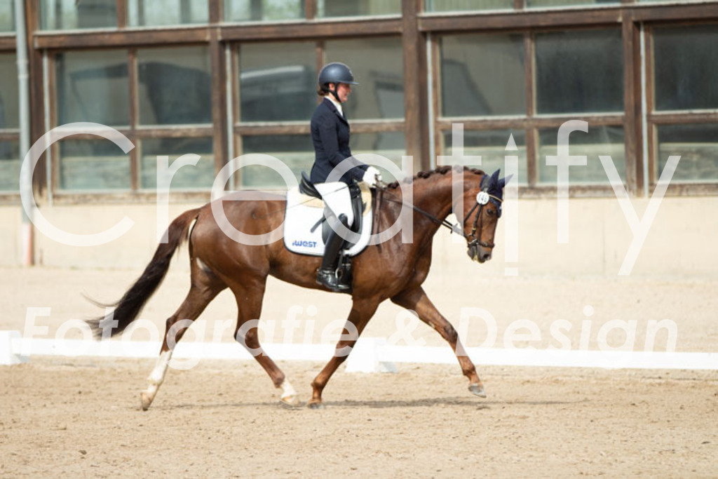 IMG_1588 | Creatify Fotografie