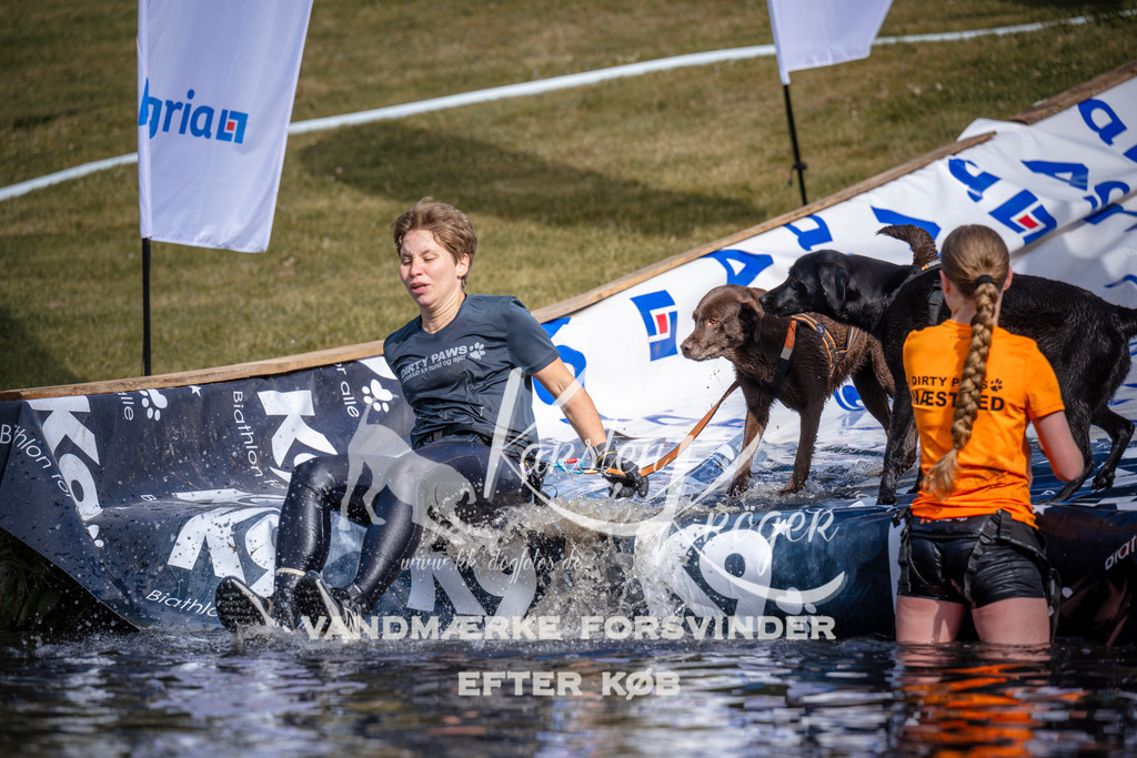 _ZZ988440811 | kk-dogfotos