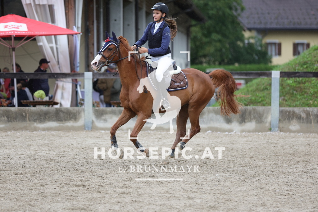 0P6A1547 | Willkommen bei Brunnmayr - Design & Fotografie – Ihrem Spezialisten für Reitturniere und Pferdeveranstaltungen in Oberösterreich, Salzburg und Bayern! Seit über 17 Jahren sind wir leidenschaftlich dabei.