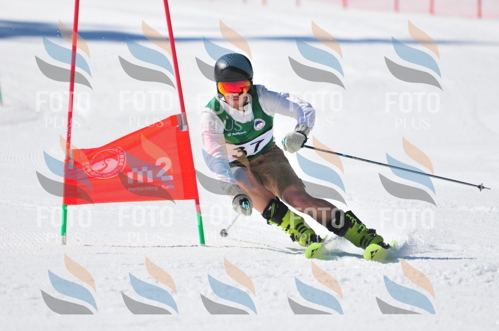 C3561 | holidayphoto