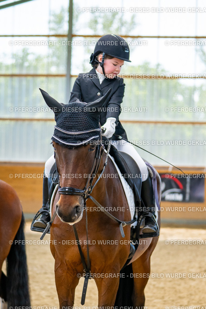 DSC01170 | Pferdegrafie