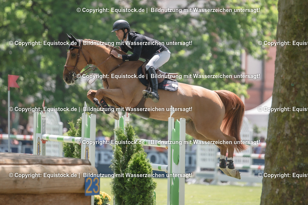 20230527_12_CSI4_Pfungstädter_0050 | equistock