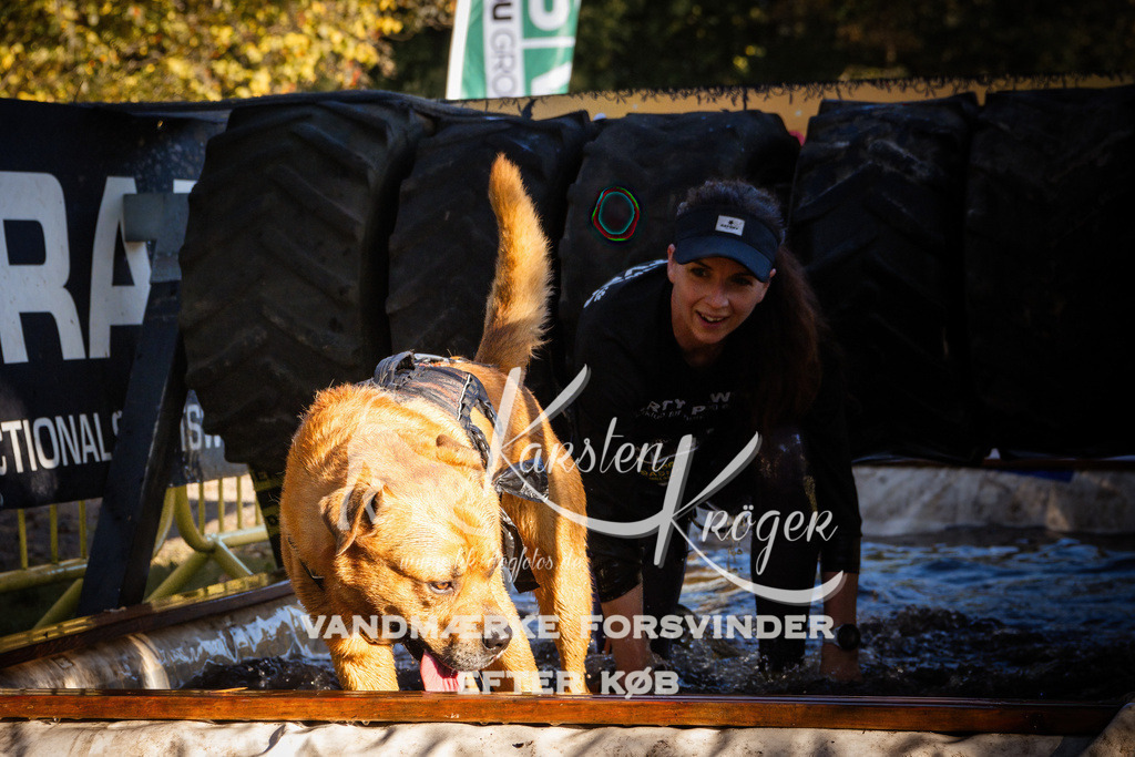 0938_ZZ91544 | kk-dogfotos