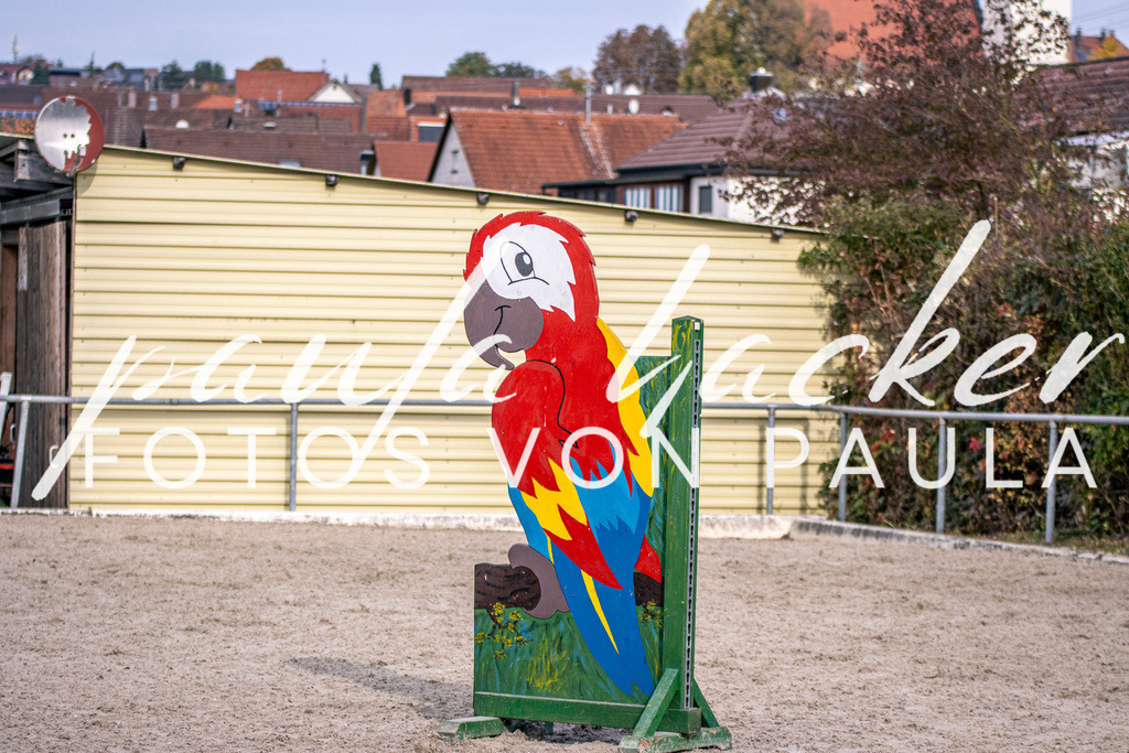 IMG_5367 | Erleben Sie dynamische Sport- und emotionale Tierfotografie in Süddeutschland mit Fotos von Paula. Spezialisiert auf Pferde- und Hundefotografie sowie Sportevents. Kontaktieren Sie mich für einzigartige und ausdrucksstarke Bilder Ihrer besonderen Momente. - Realisiert mit Pictrs.com