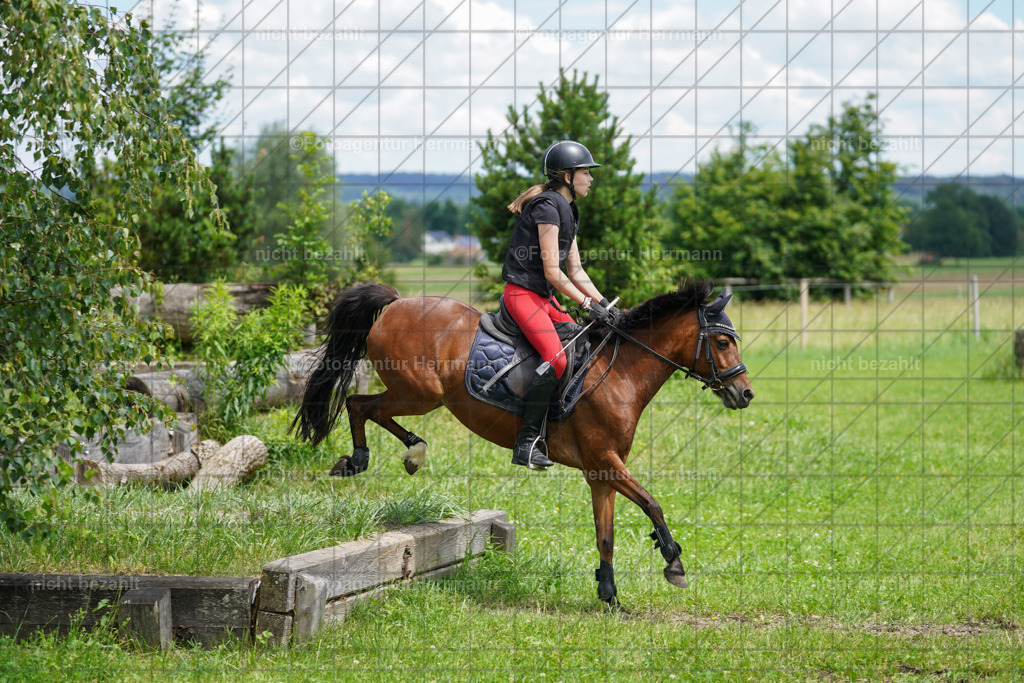 20240622-FAH07441 | Turnierfotografen Bayern, Reitsportbilder aus dem Geländekurs mit Felix Etzel auf dem Gut Waitzacker 2024