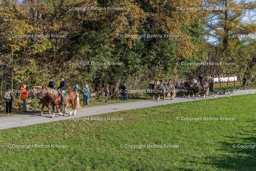 LBT24-310 | foto-bettina-krinner - Realisiert mit Pictrs.com