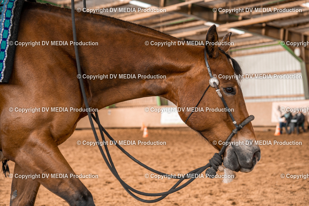 BAL00497 | dv-media-shop - Realisiert mit Pictrs.com