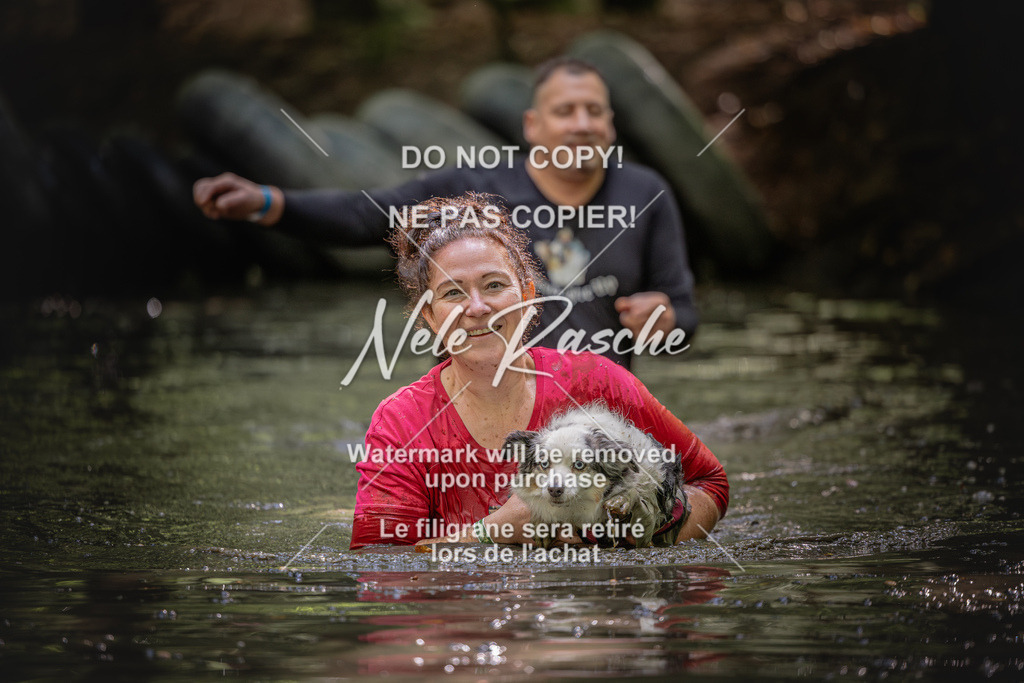 nelerasche_SaWingst1400-1500_367 | nelerasche