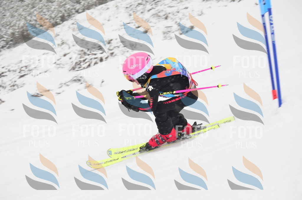 C0662 | holidayphoto