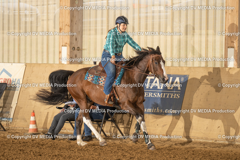 LAU00579 | dv-media-shop - Realisiert mit Pictrs.com