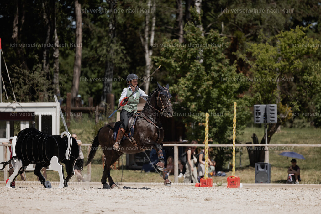 WE_SP_Stoib_315_PI2025_1854 | Pferd International München 2025