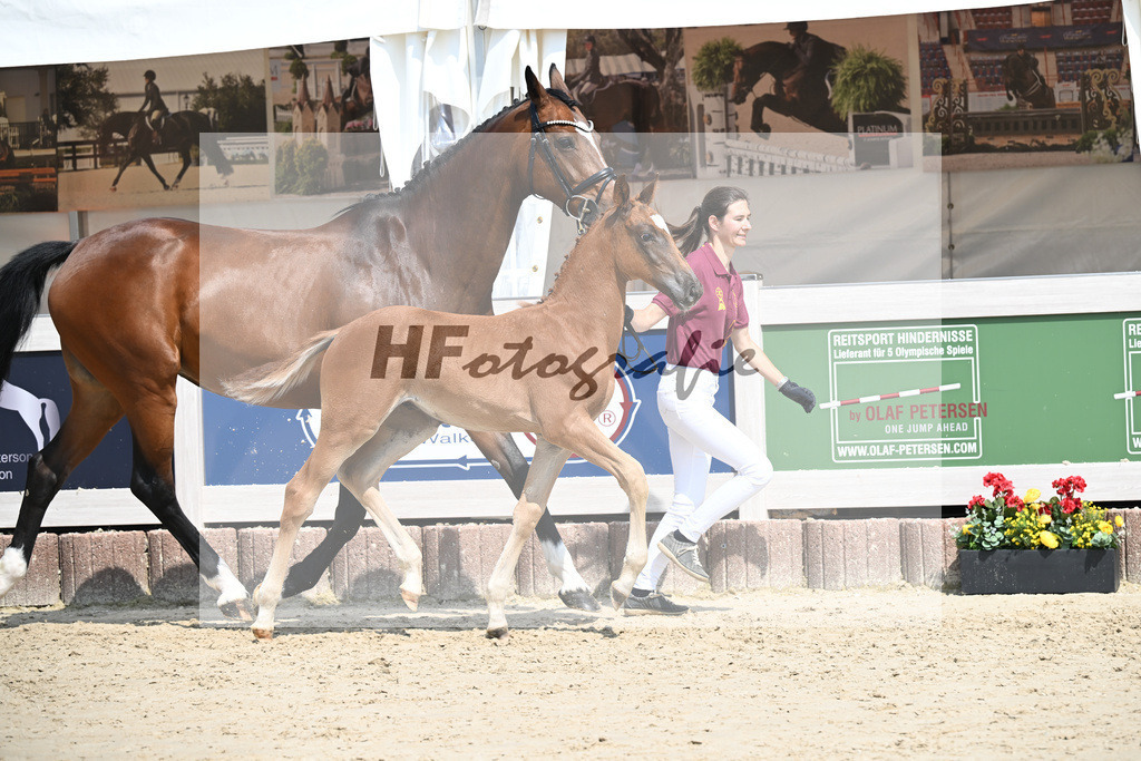 Arezzo Man x Celentano_HF_Moldvai_12250431 | hf-fotografie - Realisiert mit Pictrs.com