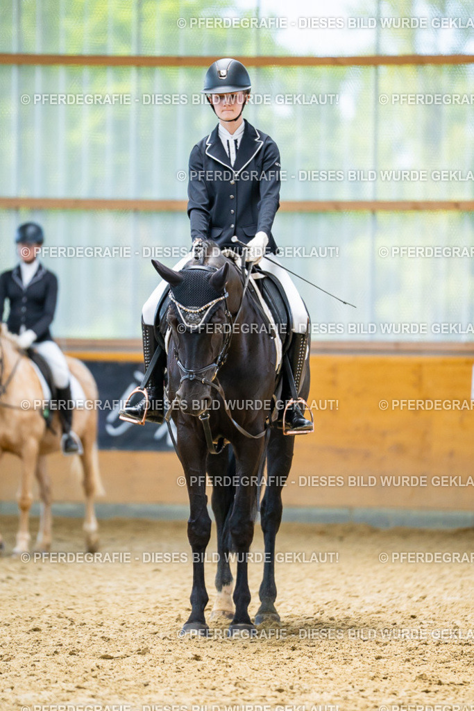 DSC09296 | Pferdegrafie