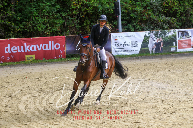 DKP40245 | Turniersportfotografie; Pferdefotografie; Dressurfotografie