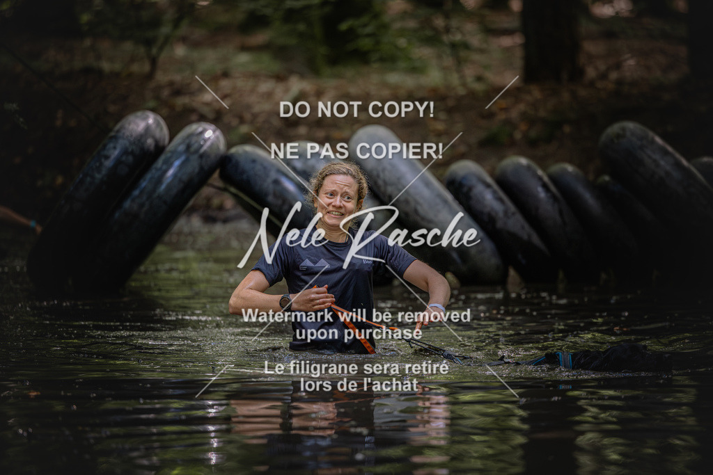 nelerasche_SaWingst1400-1500_494 | nelerasche