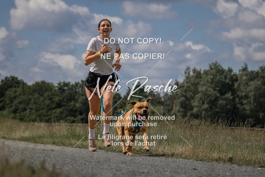 nelerasche_BuHu2026_SaCC1100-1200_12 | nelerasche
