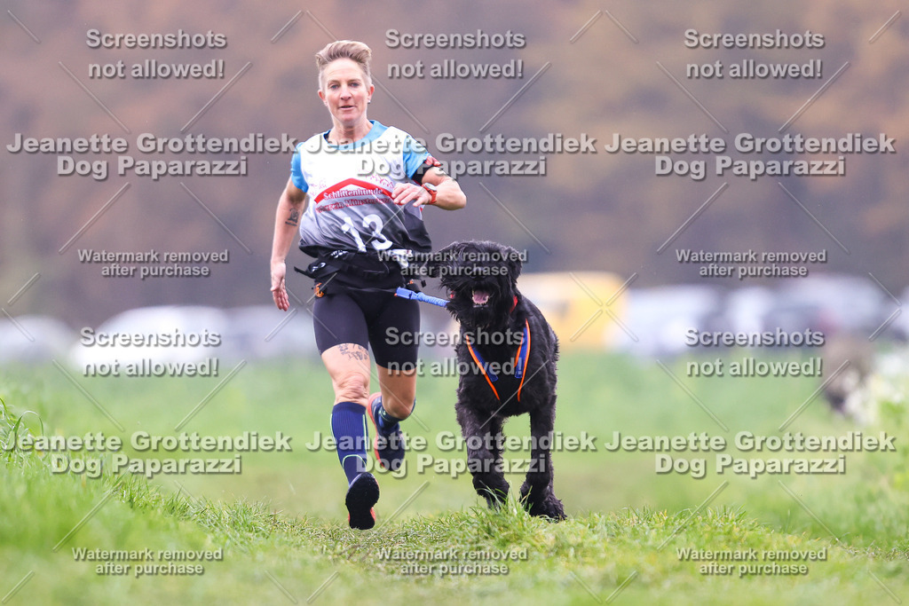 Dog Paparazzi - Visbeck 25 -817 | Dog Paparazzi Jeanette Grottendiek Fotografie & Videografie - Realisiert mit Pictrs.com