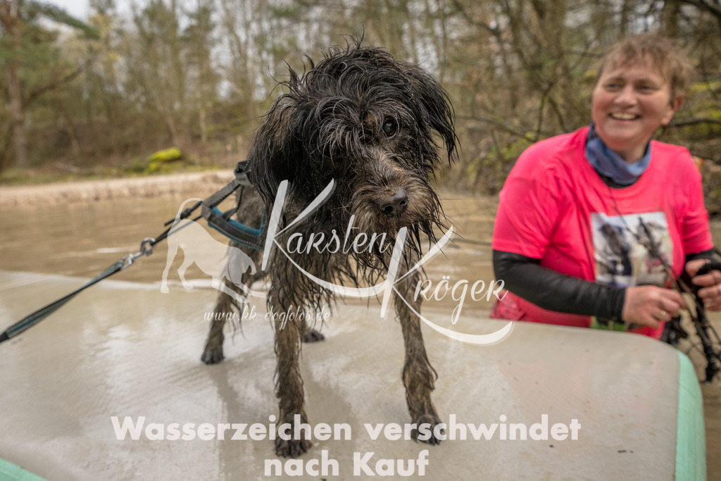 1326_ZZ90472-Bearbeitet | kk-dogfotos