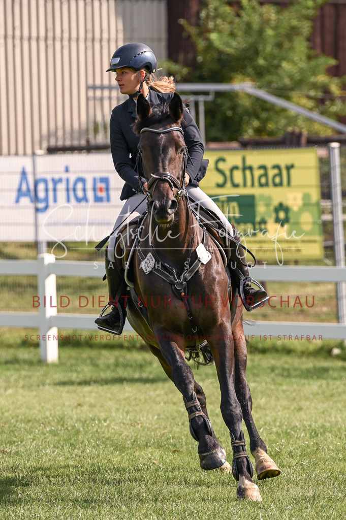 Schugtsche-Düren.2024-07.Amat.Springprf.A__-184 | Schugtsche Fotografie - Realisiert mit Pictrs.com