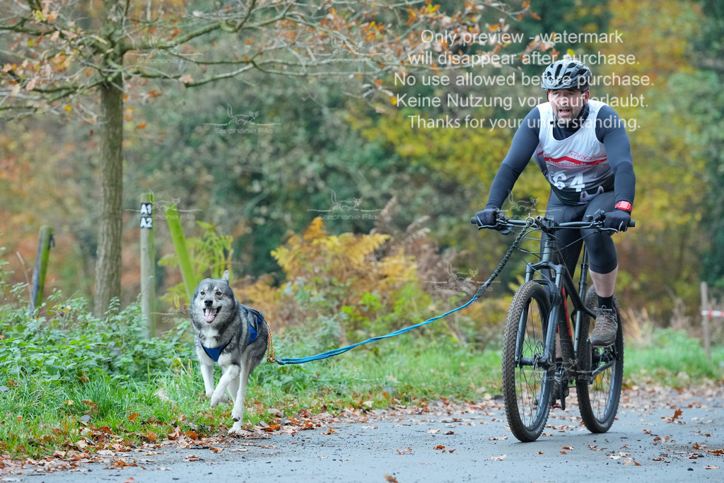 Bike_So-97 | stephaniefillaphotographie - Realisiert mit Pictrs.com