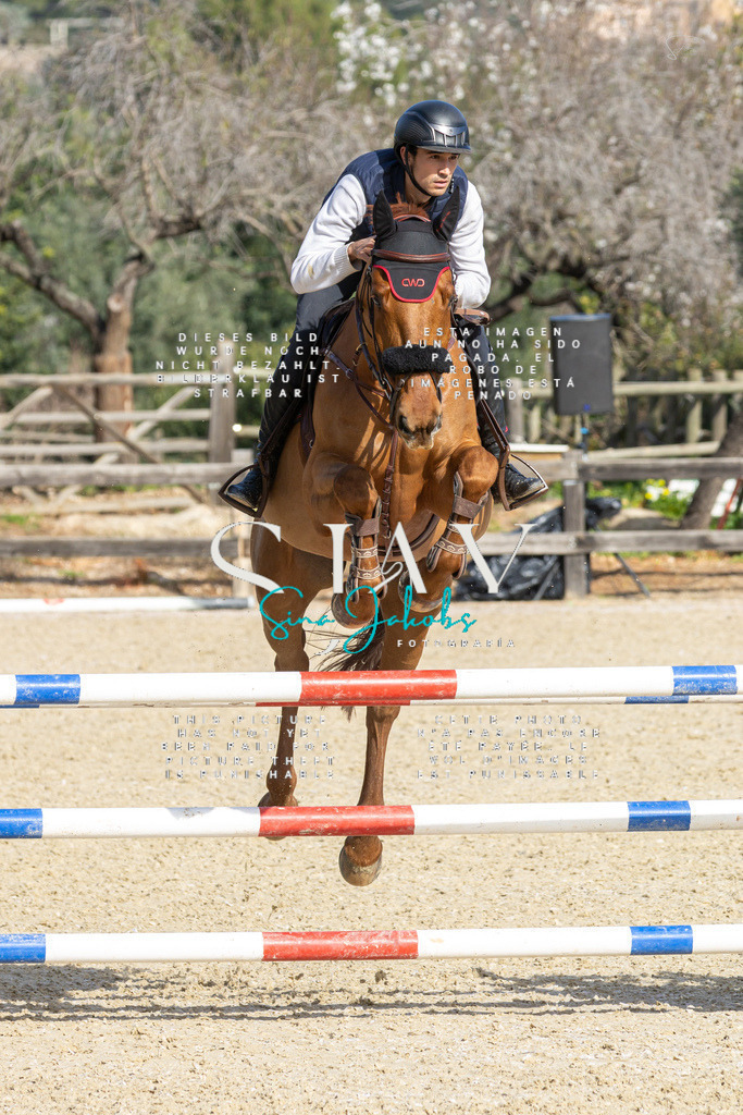 IMG_4452 | s-jay-photography - Realisiert mit Pictrs.com