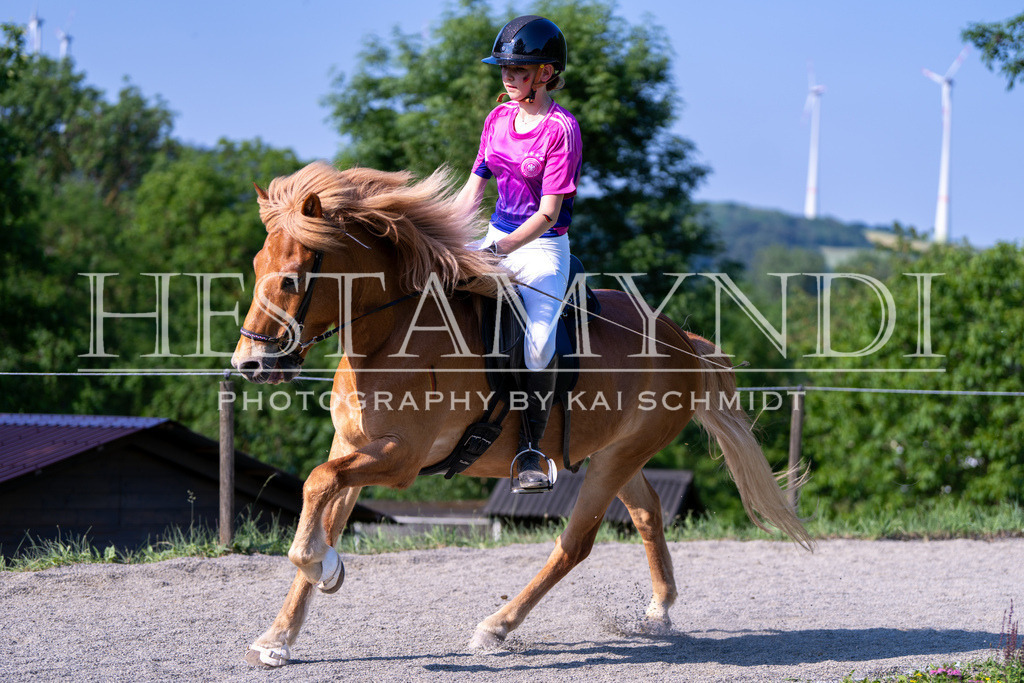 KAI07151 | Ihr sucht einen Fotografen für eure nächste OSI? Ich begleite auch euer Turnier für Islandpferde fotografisch.  - Realisiert mit Pictrs.com