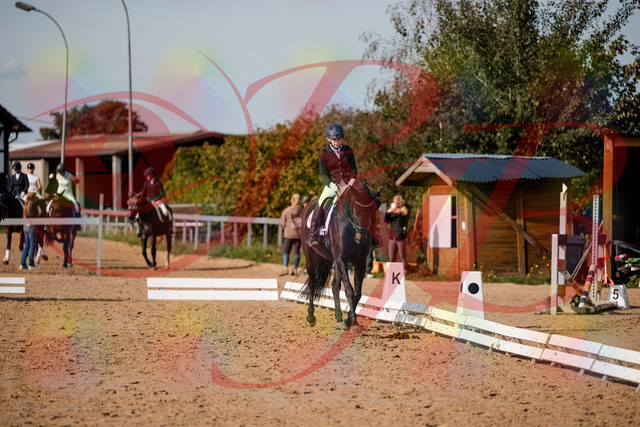 2026_10_03_Siefer-Hof_121411_Z63_39206176 | Professionelle Reitsport-, Turnier- und Eventfotografie von Robert Broda. Galerien mit ausgewählten und bearbeiteten Bildern direkt online ansehen und bestellen.