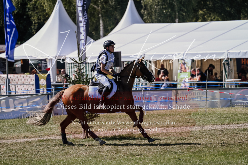 DSC_2091 | Pferde- und Turnierfotografie in Westsachsen. Pferdeportraits, Auftragszeichnungen und intuitive Kunst.