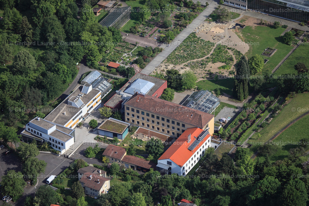 3091795 | Botanischer Garten der Universität Würzburg