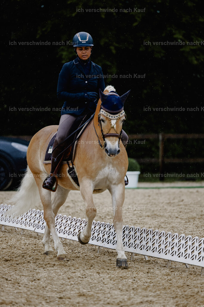 Tanesha5FHC2025-24881 | working equitationturnier fotograf videograf stoibphotography marixx film working equitation deutschland reitsport turnierfotografie eventfotografie equestrian events