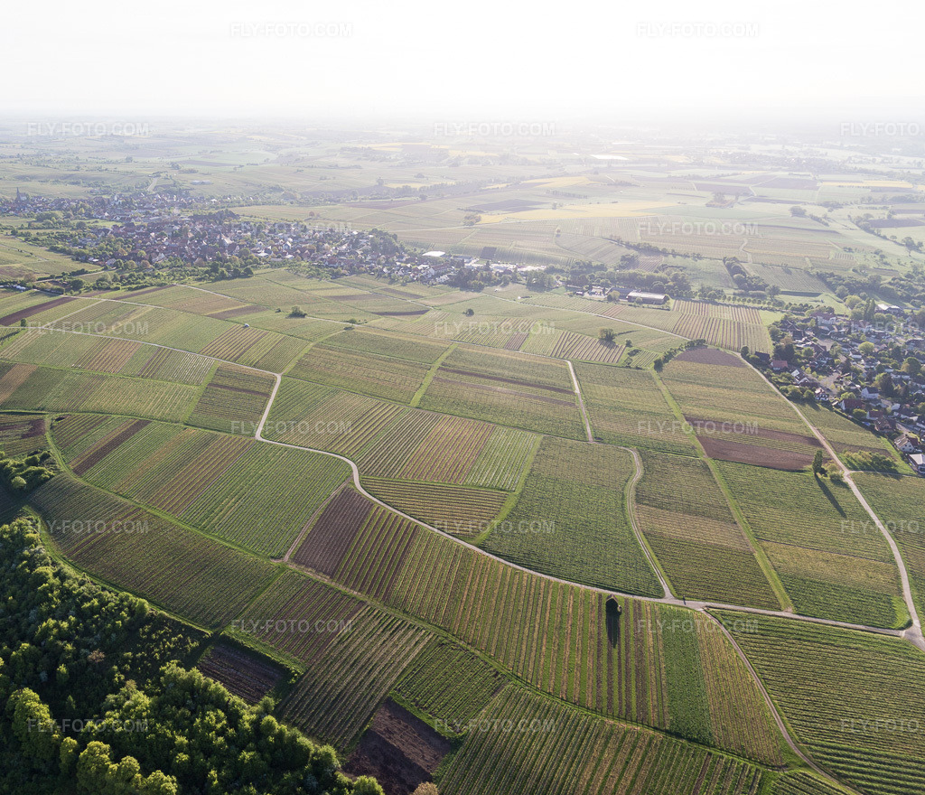 Aerial view: Sonnenberg vineyard in Wissembourg in the state Bas-Rhin, France.Photo: IMG_107013.jpg taken on 04/27/2018 by Werner Riehm/FLY-FOTO.comResolution of the original: 4247 x 3648 px
