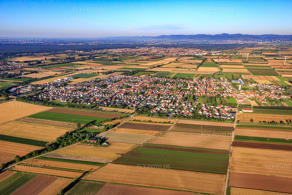 Luftbild: Ortsansicht von Osten im Ortsteil Böhl in Böhl-Iggelheim im Bundesland Rheinland-Pfalz in Deutschland. Foto: IMG_091660.jpg vom 10.07.2016 durch Werner Riehm/FLY-FOTO.de