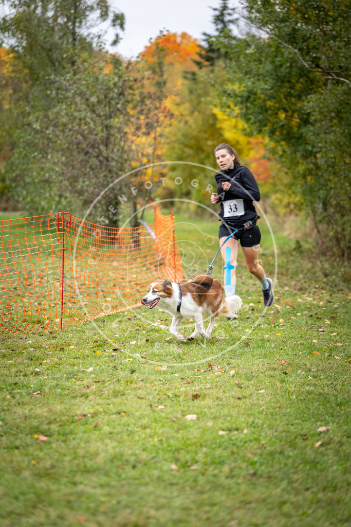 Pfotenfotografie_DV3A2146 | Hundefotografie, Tierfotograf, Pfotenfotografie, Fotoshooting Hund, Hunde Portrait, Hundesport, Hundeportraits, Heideshooting, Hunde, Sportfotograf, Hundefotograf, Turnierhundsport, THS,  - Realisiert mit Pictrs.com