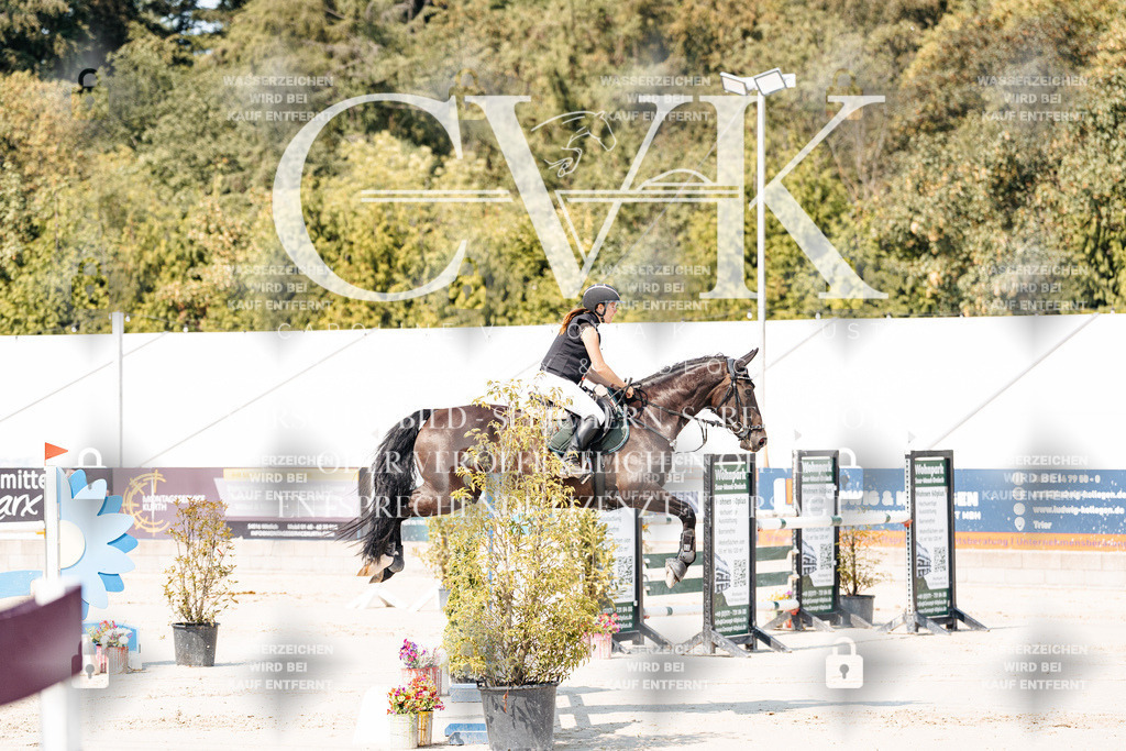 CK901315 | Turnierfotografie Pferdefotografie Trier Rheinland-Pfalz Pferdesport Reitsport Tierfotografie Sportfotografie Pferdevideo Pferdevideografie Equestrianvideography equestrianphotography  - Realisiert mit Pictrs.com