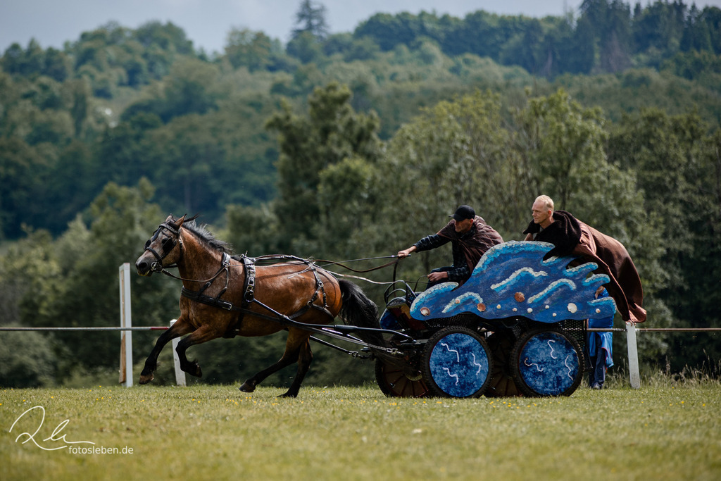 846A2127 | fotosleben - Realisiert mit Pictrs.com