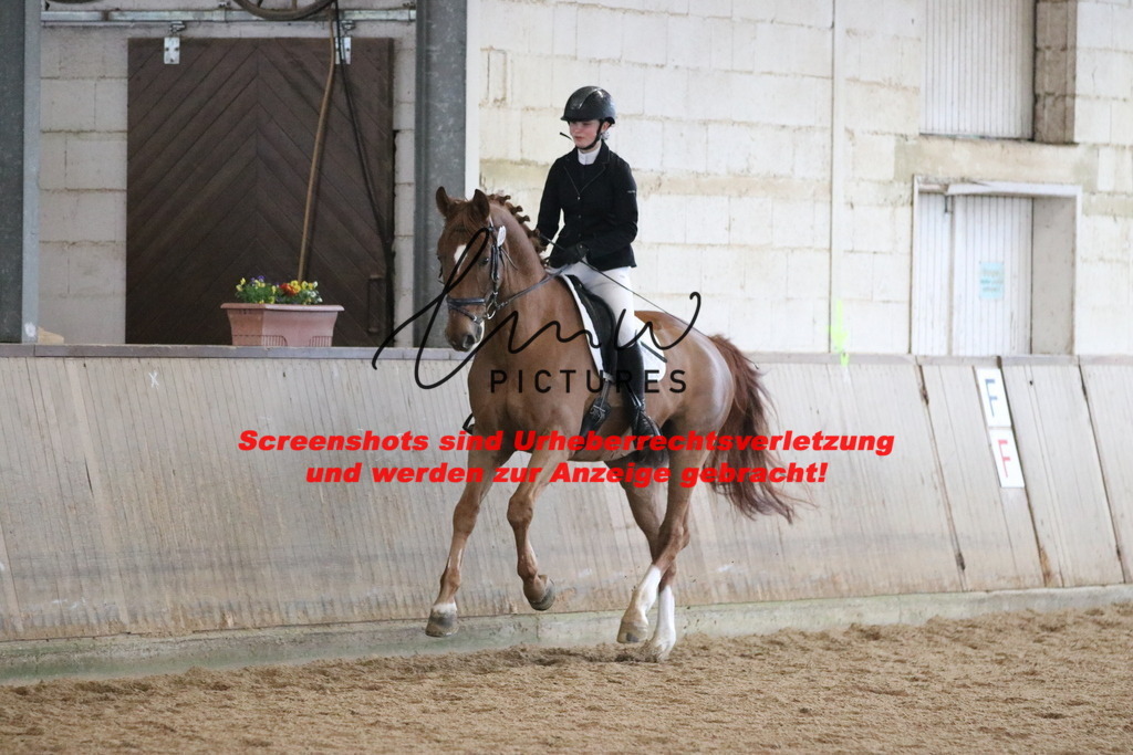 IMG_7791 | lmwpictures - Realisiert mit Pictrs.com