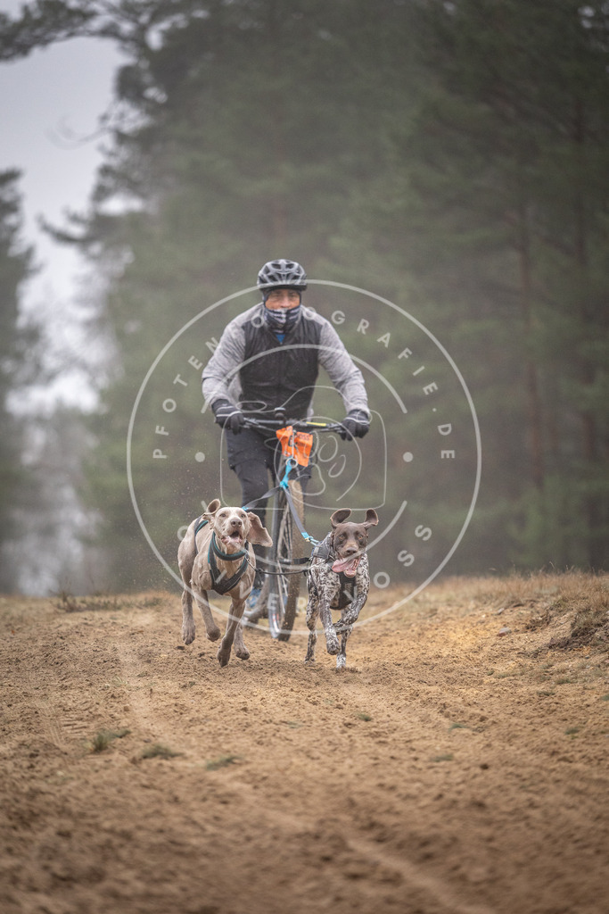 Pfotenfotografie_DV3A1089 | Hundefotografie, Tierfotograf, Pfotenfotografie, Fotoshooting Hund, Hunde Portrait, Hundesport, Hundeportraits, Heideshooting, Hunde, Sportfotograf, Hundefotograf, Turnierhundsport, THS,  - Realisiert mit Pictrs.com