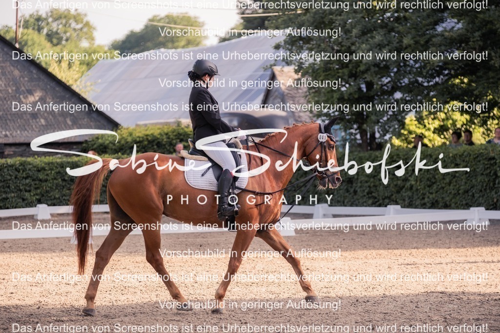 2025_05_31_DSCF2645 | People- und Tierfotografie, Imageaufnahmen, Veranstaltungsfotografie und Wandbilder aus der Natur ★ Made in Germany ✔️ Druck + Downloads ✔️ Naturfotografie in Top Qualität ★ schneller Versand, weltweite Lieferung! - Realisiert mit Pictrs.com