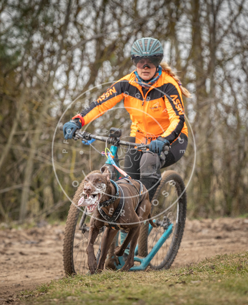 Pfotenfotografie_DV3A9423 | Hundefotografie, Tierfotograf, Pfotenfotografie, Fotoshooting Hund, Hunde Portrait, Hundesport, Hundeportraits, Heideshooting, Hunde, Sportfotograf, Hundefotograf, Turnierhundsport, THS,  - Realisiert mit Pictrs.com