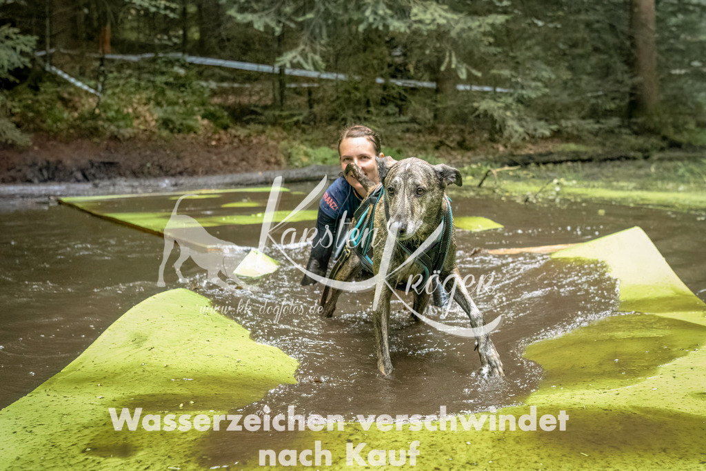 1434_ZZ92842-Bearbeitet | kk-dogfotos