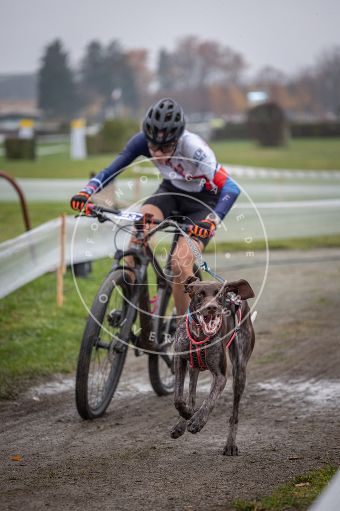 CaniXpix_0L8A1338 | Hundefotografie, Tierfotograf, Pfotenfotografie, Fotoshooting Hund, Hunde Portrait, Hundesport, Hundeportraits, Heideshooting, Hunde, Sportfotograf, Hundefotograf, Turnierhundsport, THS,  - Realisiert mit Pictrs.com