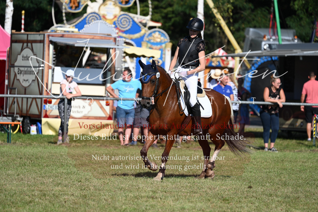 DSC_5339 | Pferde- und Turnierfotografie in Westsachsen. Pferdeportraits, Auftragszeichnungen und intuitive Kunst.