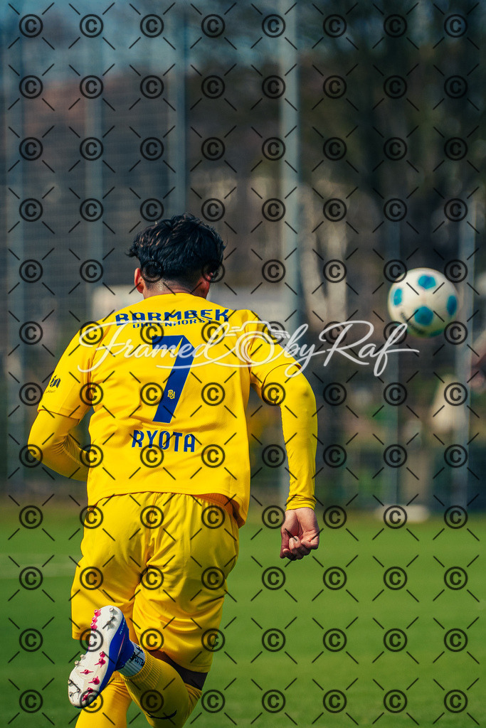 DSC03095 | Professioneller Online-Store für hochwertige Fotografie: Entdecke einzigartige Bilder aus Street, Events und Lifestyle. Sichere dir exklusive Prints und digitale Downloads in bester Qualität für dein Zuhause oder Projekte. - Realisiert mit Pictrs.com